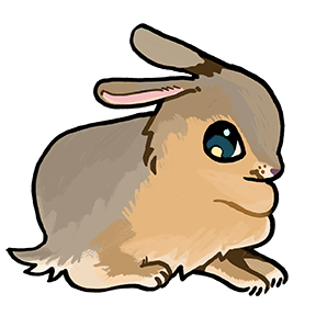 Bunny Bunny